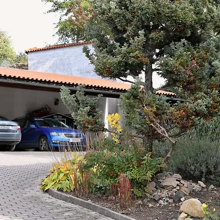 Luxusni S Empirovymi Freskami V Centru Caslavi Apartment *