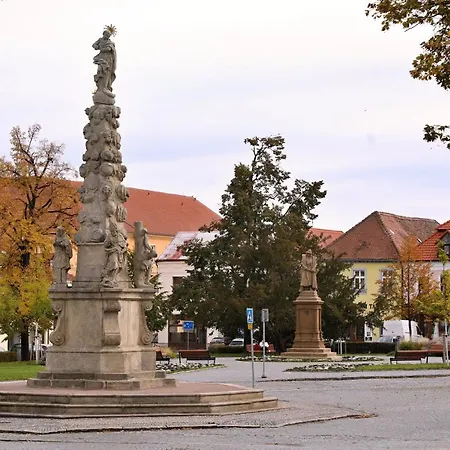 Luxusni S Empirovymi Freskami V Centru Caslavi Caslav