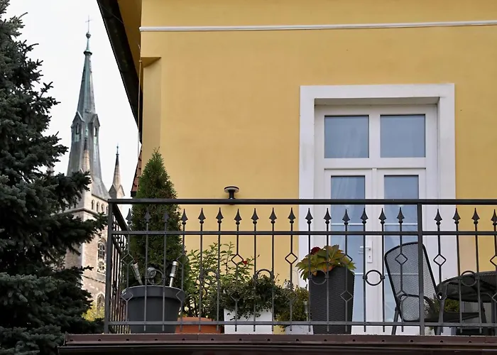 Luxusni S Empirovymi Freskami V Centru Caslavi Čáslav