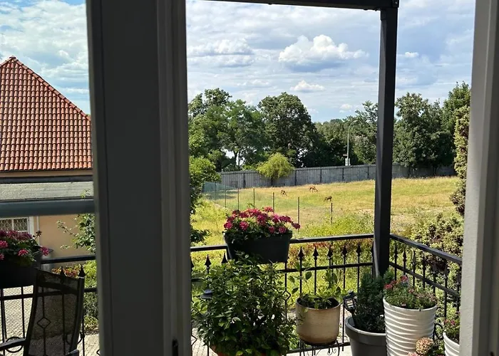 Lägenhet Luxusni S Empirovymi Freskami V Centru Caslavi